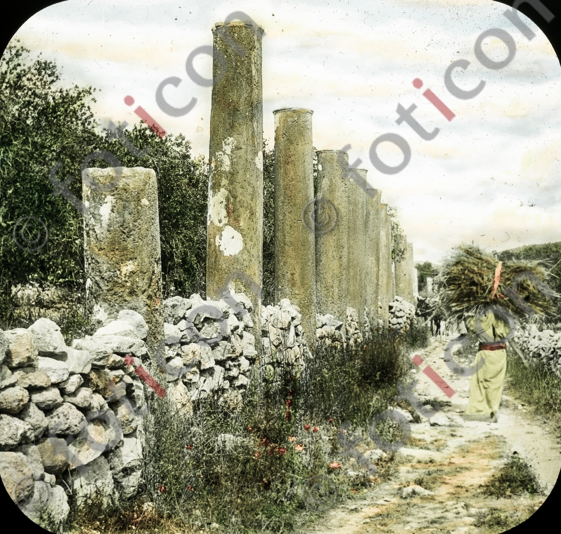 Säulenreihe | Row of columns (foticon-simon-054-055.jpg)